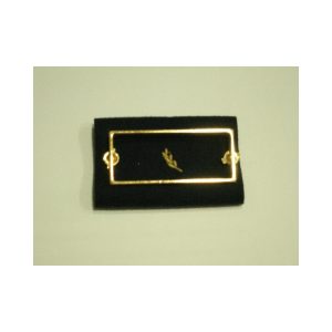 CORRALITO PARA DIVISA