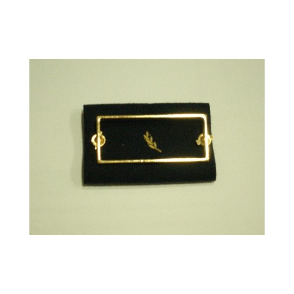 CORRALITO PARA DIVISA