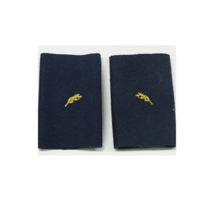 Divisas De Hombro En Oro Nueva Uniformidad