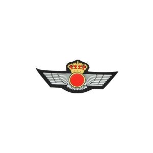 Parche ROQUISQUI BRIPAC