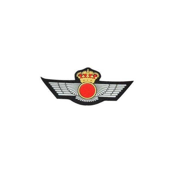 Parche ROQUISQUI BRIPAC