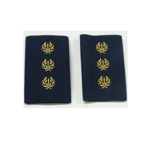 Divisas Comisario Policía