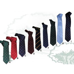 Corbata varios colores con bandera