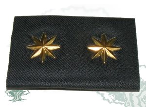 Hombreras divisa NUEVA UNIFORMIDAD-TENIENTE CORONEL