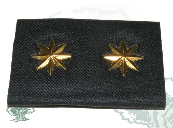 Hombreras divisa NUEVA UNIFORMIDAD-TENIENTE CORONEL
