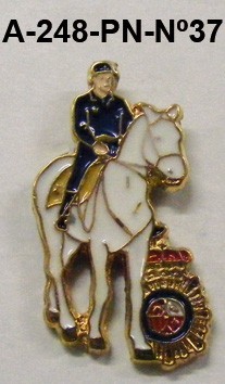 Pin Cuerpo Policia Nº 37