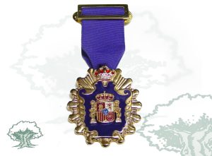 Medalla licenciado Psicopedagogía