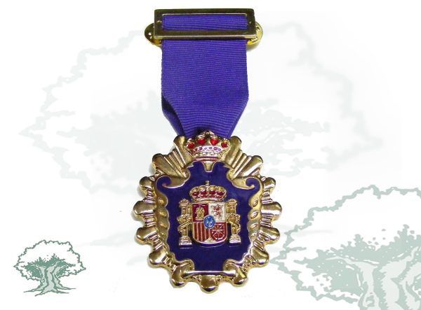 Medalla licenciado Psicopedagogía
