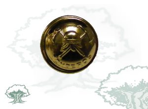 Botones dorados pqueños BOMBEROS