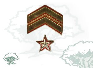 Galón metálico Boina (Suboficial Mayor)