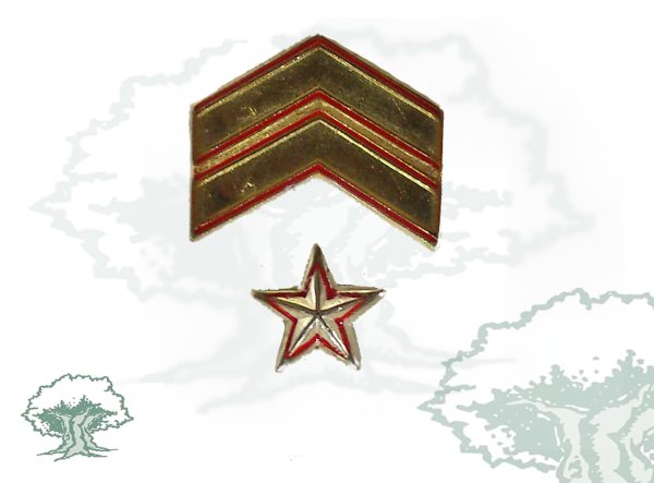 Galón metálico Boina (Suboficial Mayor)