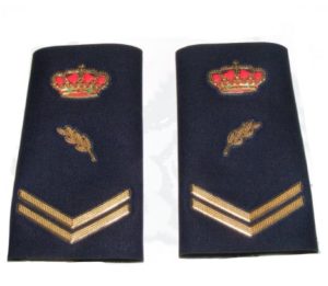 Divisa Policía Nacional Nuevo Modelo