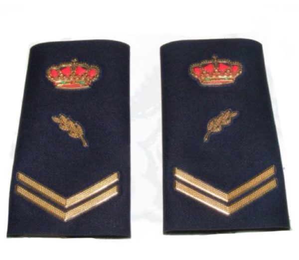 Divisa Policía Nacional Nuevo Modelo