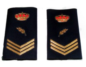 Manguito Divisa Oficial de Policía Nuevo