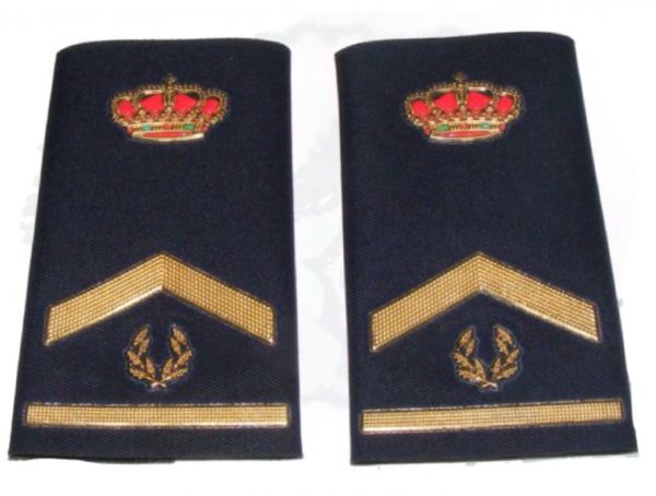 Manguito Nueva Divisa SubInspector