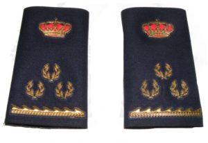 Manguito Nueva Divisa INSPECTOR Policía