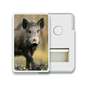 Imán Frigo con pinza " JABALI "