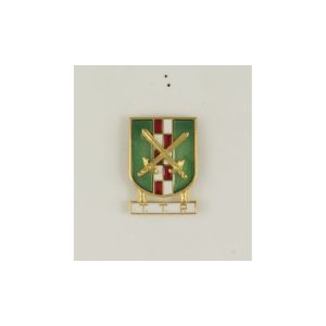 Distintivo Especialidad TTP