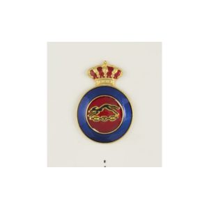 Distintivo Educacion Fisica Instructor