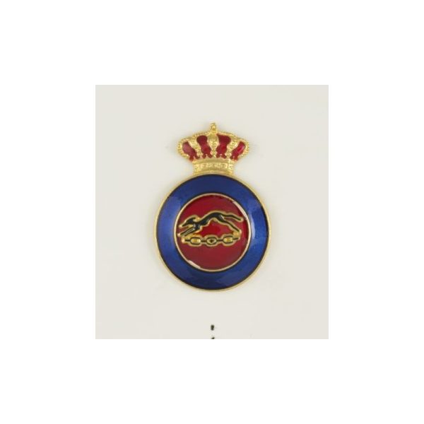 Distintivo Educacion Fisica Instructor