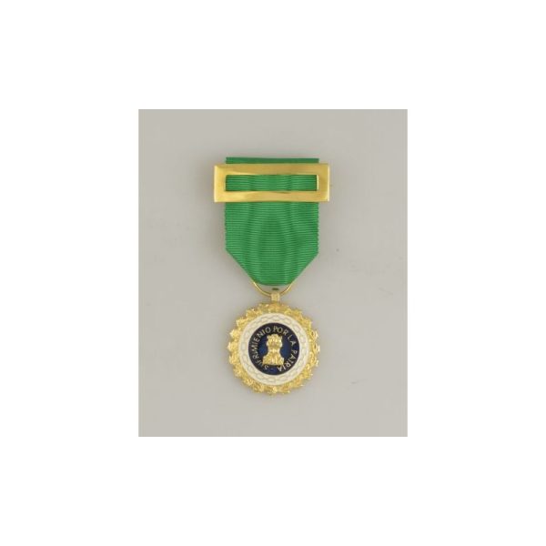 Medalla Sufrim. Por La Patria Distin. V.