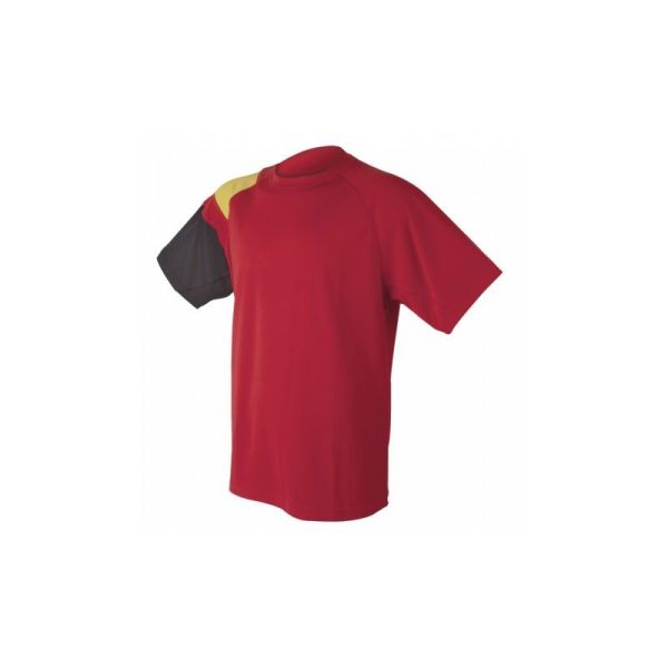 Camiseta TECNICA ESPAÑA Caballero. Talla