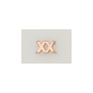 Numeral policia N. pasador XX