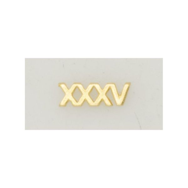 Numeral Policia N. Pasador XXXV