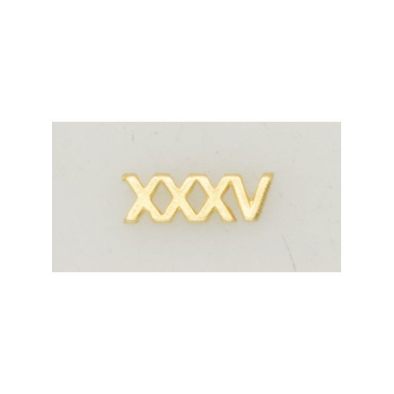 Numeral Policia N. Pasador XXXV Numeral Policia N. Pasador XXXV