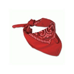 BANDANA CACHEMIR