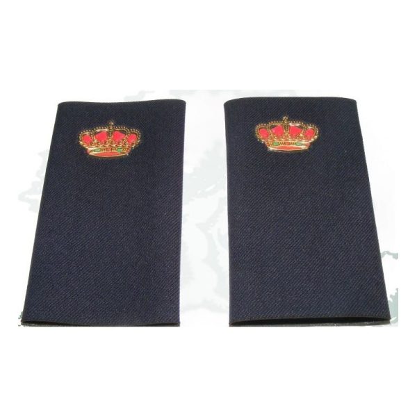 Divisa POLICIA ALUMNO