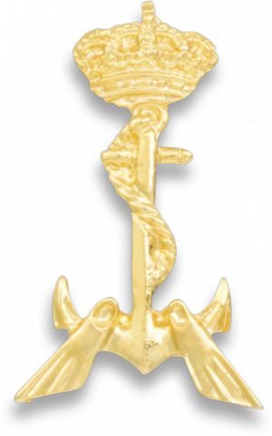 Emblema Buceador Elemental