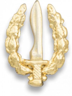 Pin pequeño emblema GOE