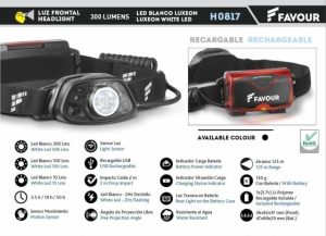 Frontal RECAR. 300LM